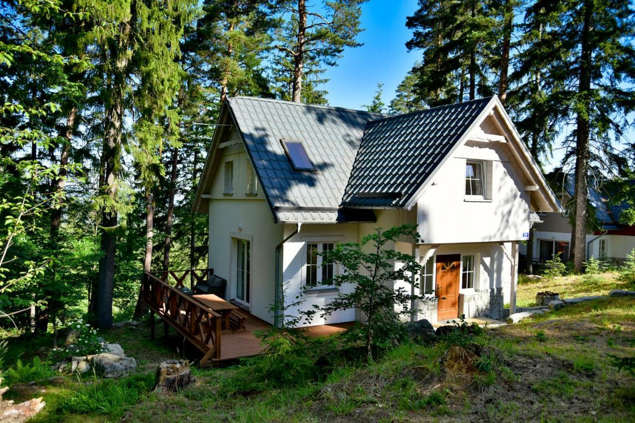 Gorski Domek Kolo Karpacza- Apartamentuj ภายนอก รูปภาพ