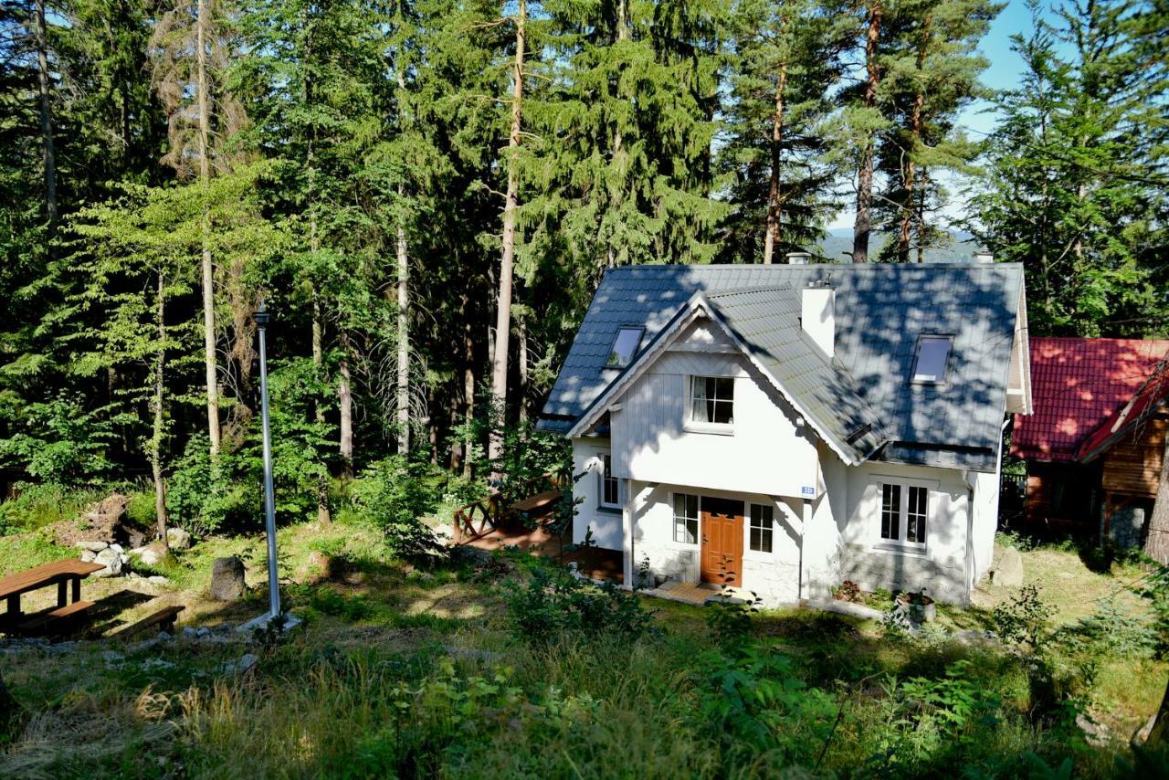 Gorski Domek Kolo Karpacza- Apartamentuj ภายนอก รูปภาพ